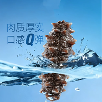 大宴岛大连有机即食海参2斤礼盒装冷冻独立包装生鲜海产滋补固形物80% 2斤/ 20-24头