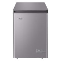 Haier 海尔 BC/BD-100GHEPC 冰柜 100L 灰色