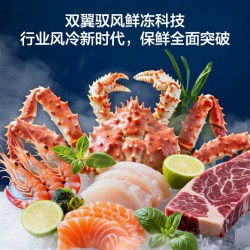 海尔 风冷无霜 冰柜  300L