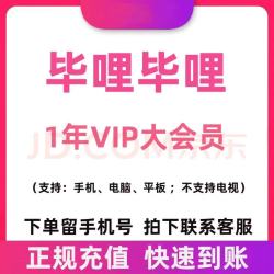 哔哩哔哩影视会员_bilibili 大会员年卡12个月毕里毕里会员哔里biliB站毕哩VIP大会员1年卡 毕里b站大会员1年卡多少钱-什么值得买