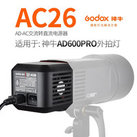  Godox/神牛 600W大功率 外拍闪光灯 交流电源器