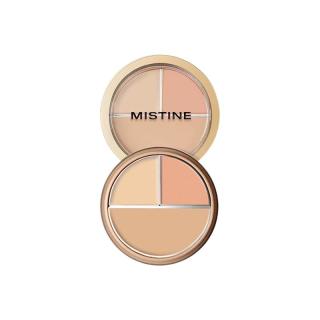  Mistine/蜜丝婷 持久 遮瑕膏  01-日常百搭 3色