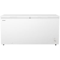 容声 大容量 商用冰柜  506L