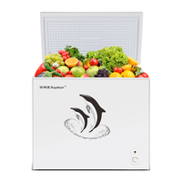  Royalstar/荣事达 一级能效 冷柜  228L