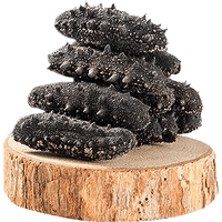 HYT 海晏堂 干海参 12-22只 50g