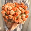 如意鸟轻岚秋冬手工混纺毛线钩织渐变梦幻玫瑰花束毯材料包 落日橘柚+明前龙井（5+1团钩1.2m左右）