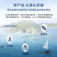 【海参礼盒】大连晓芹即食海参1680g大参王辽刺参礼盒560g*3袋