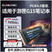 SanStand 固态硬盘适用戴尔灵越游匣g15g16笔记本电脑PCIe高速SSD