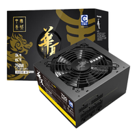 Great Wall/长城 全模组 台式机电源 750W