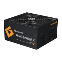  美商美商艾湃电竞 Apexgaming 金牌（90%） 全模组ATX电源 850W