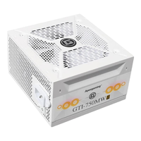 美商美商艾湃电竞 Apexgaming GTI750MW 金牌（90%）ATX3.1 全模组电脑电源 750W 白色