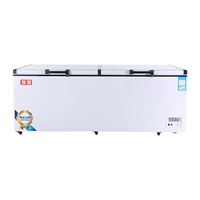  赫强 智能温控 冰柜  601-800L