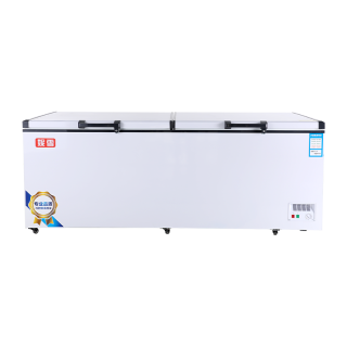  赫强 智能温控 冰柜  400L