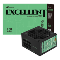  Great Wall/长城 金牌全模 电源  750W