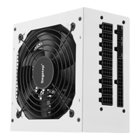 Segotep 鑫谷 全模850 冰山版 全模组化标准电源(ATX)电脑电源 750W
