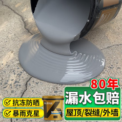 凯诺森 防水涂料 15年材料质保单遍2.5㎡