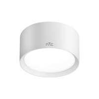 雷士 NVC Lighting 筒灯 明装筒灯 LED筒灯 圆形防眩防雾走廊吸顶灯 荐-明装免开孔-明皓-白-9W暖白