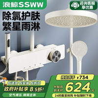 浪鲸 TS9 淋浴花洒套装 精铜