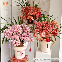 花彩大花蕙兰盆栽杂交兰室内阳台客厅装饰年宵花白玉香兰花带花苞