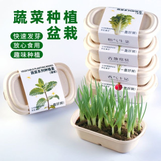 小花农 儿童蔬菜种植实验观察套装玩具 厨房香草