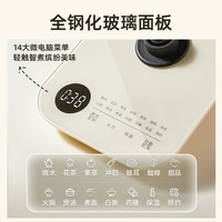 Bear/小熊 YSH-E15Z1 多功能 养生壶