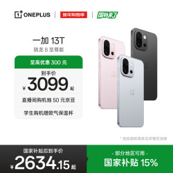 一加 13T 5G手机 16GB+1TB 晨雾灰 骁龙8至尊版