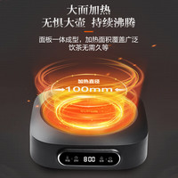 苏泊尔（SUPOR）QC系列电陶炉 煮茶器 烧水壶 泡茶煮茶炉 家用小型电磁炉 SW-DTL02【不含茶壶】 可搭0.55L壶 煮茶器 0L SW-DTL02