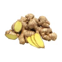 宝菜 新鲜现挖云南小黄姜生姜蔬菜带泥发蔬菜产地直发鲜姜 净重4.8-5.1斤