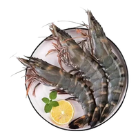 天纵良材巨型黑虎虾 活冻大虾老虎虾斑节虾对虾 海鲜礼盒 生鲜海虾 特大16-20只 1.8斤(净重)  16-18CM 1620大号【特大黑虎虾】 1.8斤(净重)  14-18只
