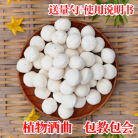 楚寨 甜酒曲米酒曲 22g 家用酵母