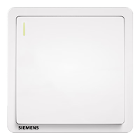 SIEMENS 西门子 Adela致典系列 开关