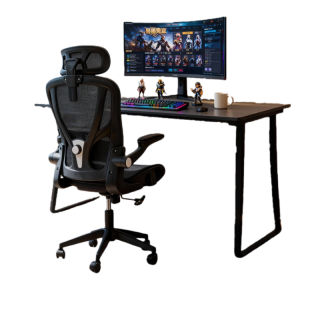 享学 护脊双倍 动态腰托 气压升降三级气杆人体工学电脑椅XC504 最大承重150kg！