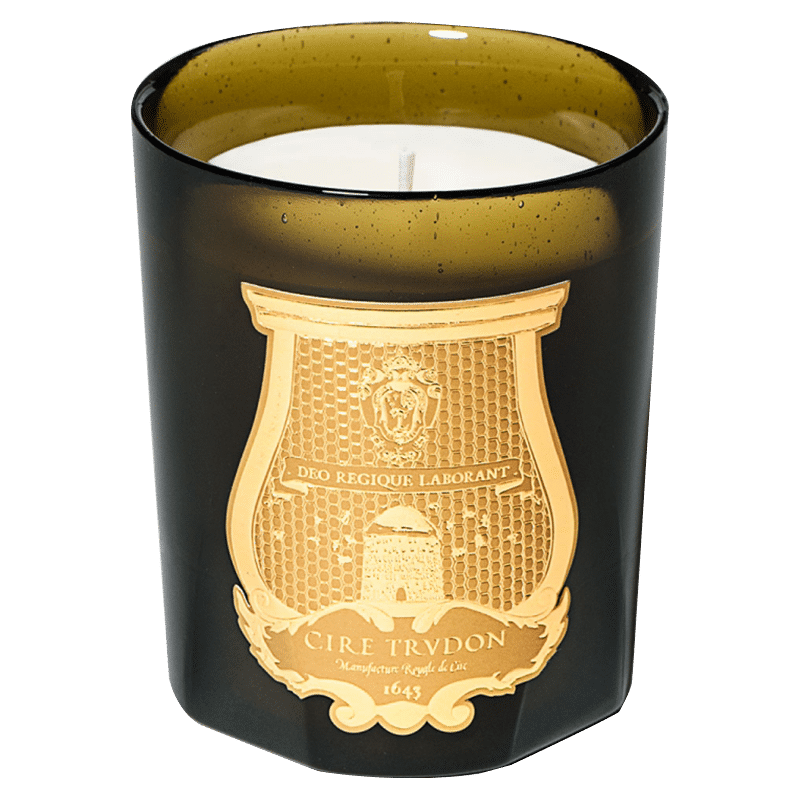  trudon 植物精油 香薰蜡烛  萨尔塔西柚 70g