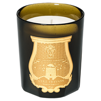 trudon 植物精油 香薰蜡烛礼盒 橙木辛香 270g