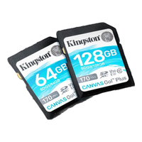金士顿单反数码相机SD大卡高速储蓄卡CANVAS GO PLUS 高清4K录像A2V30U3适用佳能尼康索尼富士SDXC内存卡 金士顿SD蓝卡+手机typec转SD/TF读卡器 256G读取170mb