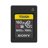 SONY/索尼 CF-A系列 CEA-G160T 微单相机 SD卡 240GB