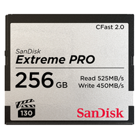  闪迪 Sandisk  SDCFSP-256G-Z46D CF存储卡 256GB（450MB/s）