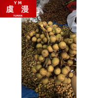 虞漫海南星月菩提子原籽原料珠同枝毛料带皮DIY原生态石玉高密手串 同枝果带枝原籽20-22mm半斤
