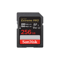  SanDisk/闪迪 4K高清 SD相机内存卡  256GB