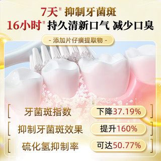  PZH/片仔癀 清火护龈 牙膏  经典原香 35g