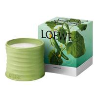 LOEWE 罗意威 黄瓜香氛蜡烛 170g