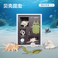 学而思网校 学而思大科学教具  贝壳昆虫套装
