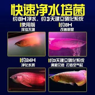 净安美鱼缸色母片去腥臭去黄吸色片染色吸毛吸色纸家庭装防染色洗衣可用 300片