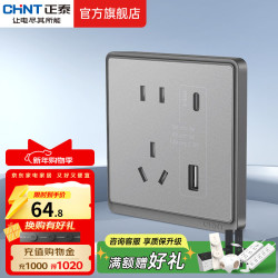 正泰 NEW6-M13285 开关插座面板 USB+Type-C 五孔10A 幻银灰