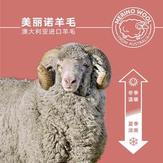 日常舒适羊毛袜子男女赛乐美利奴羊毛袜春秋潮袜美丽诺羊毛速干袜 短筒黄色 S(35-38)/1双装
