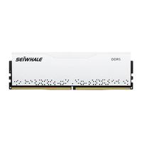 枭鲸 电竞漫游 DDR5 5600MHz 台式机内存条 16GB