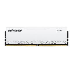 枭鲸 电竞漫游 DDR5 5600MHz 台式机内存条 16GB