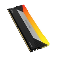 BIWIN 佰维 DX100 DDR5 6000MHz RGB 台式机内存 灯条 石耀黑 32GB 16GBx2 C30