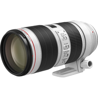 Canon 佳能 EF 70-200mm F2.8 L IS III USM 远摄变焦镜头 佳能EF卡口 77mm