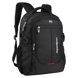 AspenSport 艾奔 标准版 15英寸双肩电脑包 AS-B36 32L 黑色